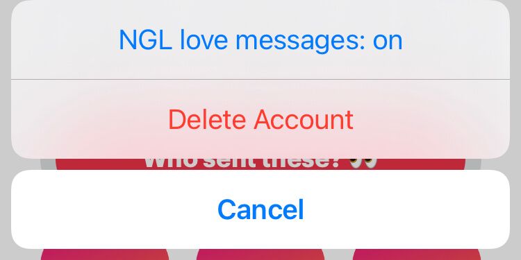 NGL app - sent with ❤️ from team NGL - what does it mean?
