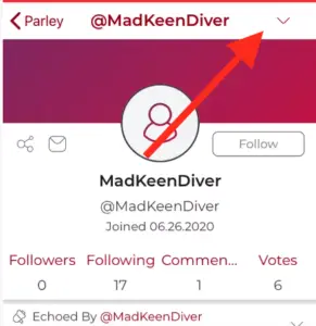 How to block on Parler app