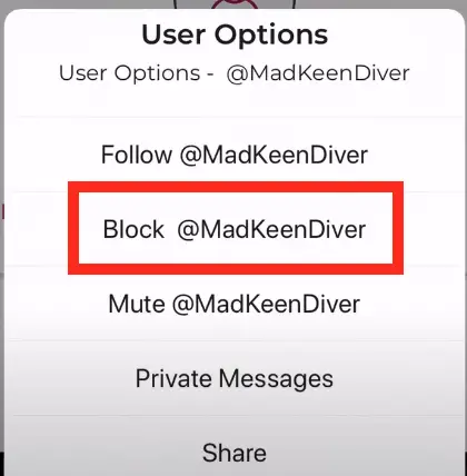 block on Parler app